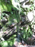 /pix/2011/barbier432a.jpg