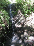 /pix/2011/barbier434a.jpg