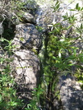/pix/2011/barbier439a.jpg