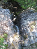 /pix/2011/barbier440a.jpg