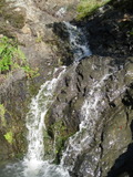 /pix/2011/barbier446a.jpg