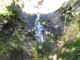 /pix/2011/barbier447a.jpg