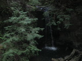 /pix/2011/bigbasin1049a.jpg