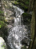 /pix/2011/bigcarson962a.jpg