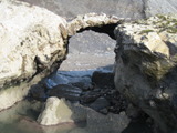 bolinas87a.jpg