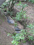 briones61a.jpg