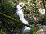 /pix/2011/cascade470a.jpg