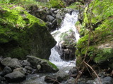 /pix/2011/cascade477a.jpg