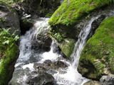 /pix/2011/cascade478a.jpg