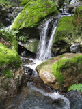 /pix/2011/cascade480a.jpg