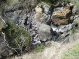 cascade481a.jpg