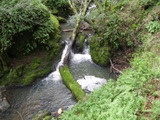 cascade482a.jpg