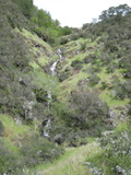 /pix/2011/cascade484a.jpg