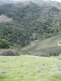 /pix/2011/cascade487a.jpg