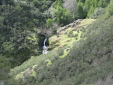 /pix/2011/cascade489a.jpg