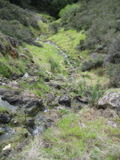 /pix/2011/cascade490a.jpg