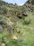 /pix/2011/cascade491a.jpg