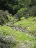 /pix/2011/cascade492a.jpg