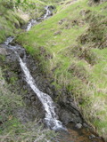 /pix/2011/cascade493a.jpg