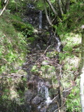 /pix/2011/cascade499a.jpg