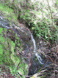/pix/2011/cascade501a.jpg