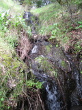 /pix/2011/cascade502a.jpg