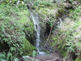 /pix/2011/cascade505a.jpg
