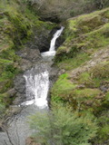/pix/2011/cascade509a.jpg