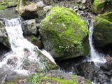 /pix/2011/cascade512a.jpg