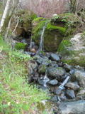 cascade57a.jpg