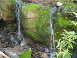 cascade58a.jpg