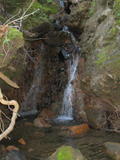 cascade60a.jpg