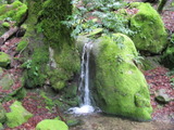 castlerock748a.jpg