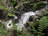 castlerock794a.jpg