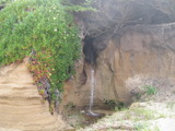 coast817a.jpg