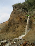 /pix/2011/coast821a.jpg