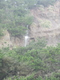 /pix/2011/coast832a.jpg
