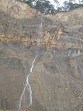 /pix/2011/coast838a.jpg