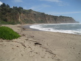 coast851a.jpg