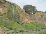 /pix/2011/coast859a.jpg