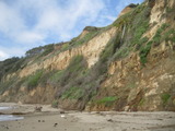 /pix/2011/coast882a.jpg