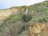 /pix/2011/coast883a.jpg