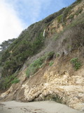 /pix/2011/coast884a.jpg