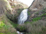 /pix/2011/coast893a.jpg