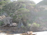 /pix/2011/coast899a.jpg