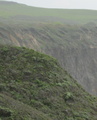 /pix/2011/coast915b.jpg