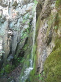 /pix/2011/coe973a.jpg