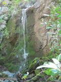 /pix/2011/coe976a.jpg