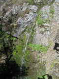 /pix/2011/coe978a.jpg