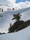 glenalpine1074a.jpg